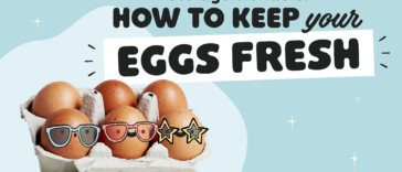Should You Wash Eggs Before Refrigerating? How Long Washed Eggs Last And Storage Tips 9