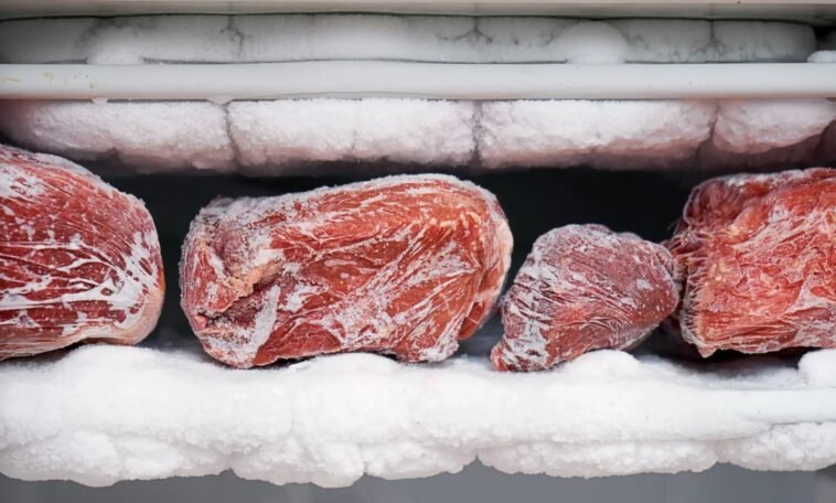 How Long Does Frozen Meat Last in the Freezer? Expert Tips How Long Does Frozen Meat Last in the Freezer Expert Tips