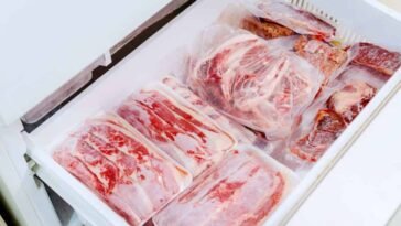 Meat in the Deep Freezer