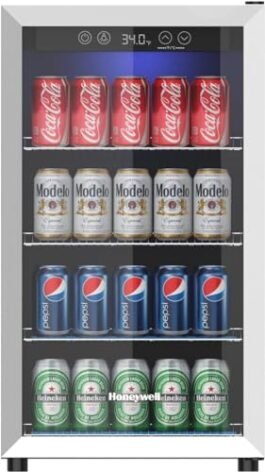 Best Mini Fridge for Beverages
