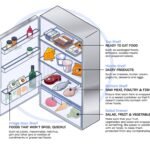 Choosing the Best Egg Holder for Your Fridge: Door Vs. Shelf Options