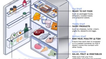 Choosing the Best Egg Holder for Your Fridge: Door Vs. Shelf Options