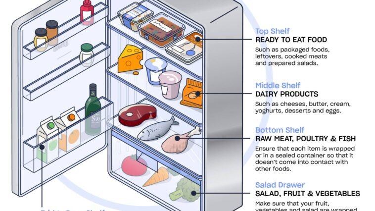 Choosing the Best Egg Holder for Your Fridge: Door Vs. Shelf Options