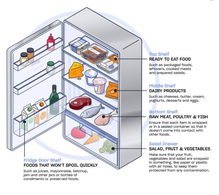Choosing the Best Egg Holder for Your Fridge: Door Vs. Shelf Options Choosing the Best Egg Holder for Your Fridge: Door Vs. Shelf Options