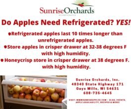 How Long Do Apples Last in the Fridge