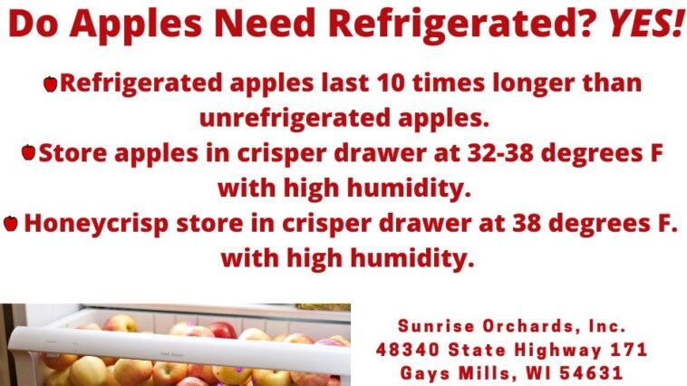 How Long Do Apples Last in the Fridge
