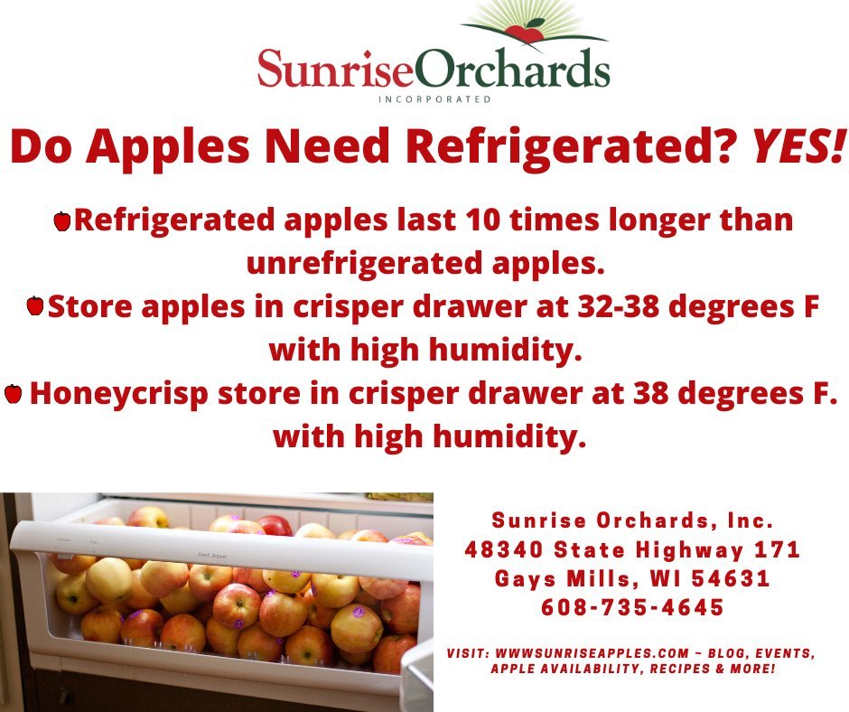 How Long Do Apples Last in the Fridge