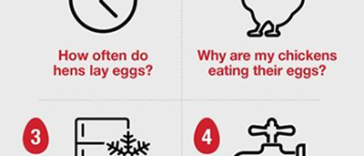 How Long Do Egg Whites Last in the Fridge? Tips for Storage And Freshness