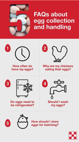 How Long Do Farm Fresh Eggs Last in the Fridge? Storage Tips And Freshness Guide