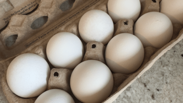 How Long Does Egg Salad Last in the Fridge? Storage Tips for Freshness And Safety