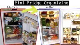 Mini Fridger Organization Tips