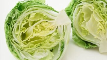 Ultimate Guide to Storing Cabbage: How Long Does It Last in the Fridge, And Tips for Freshness